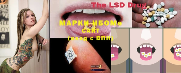 стафф Майский