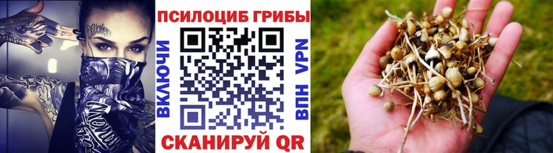 мориарти официальный сайт  Староминская  Галлюциногенные грибы MAGIC MUSHROOMS 